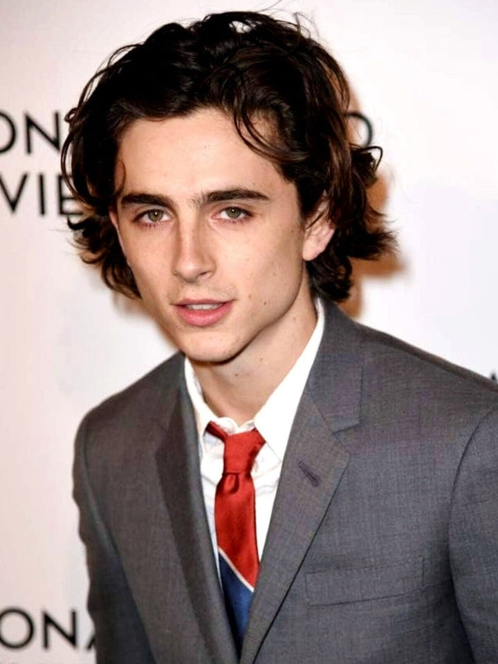 Timothee Chalamet 8.5 x 11 Color Photograph Art Print Photo Picture Collectibles:Photographic Images:Photographs Style Your Walls