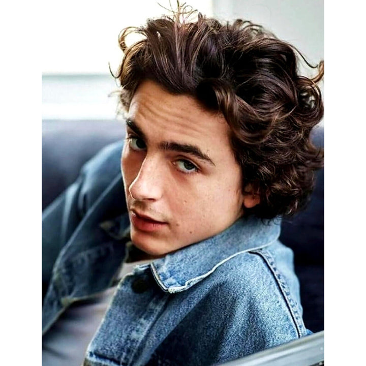 Timothee Chalamet 8.5 x 11 Color Photograph Art Print Photo Picture Collectibles:Photographic Images:Photographs Style Your Walls